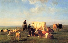 Cows and Sheep Grazing